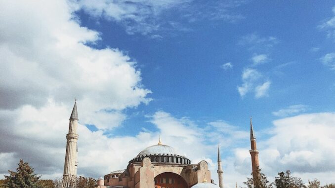 uploaded-image-bahce-bitkileri-ve-sus-bitkileri-1697900540238