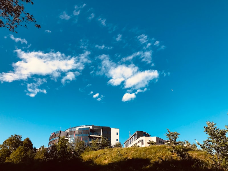 Yeşilliklerin Balkon ve Veranda Bahçeciliği