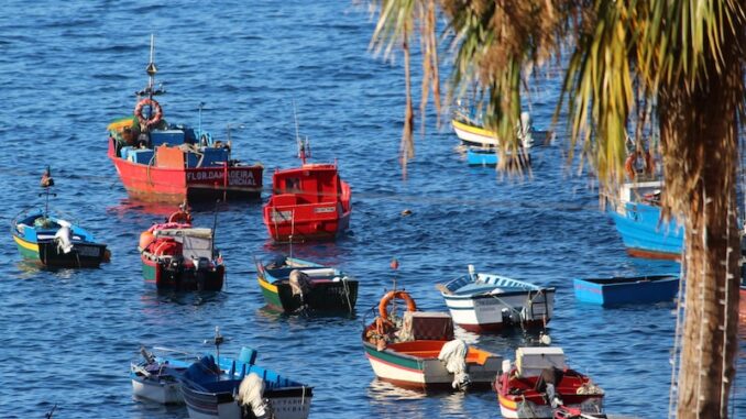 uploaded-image-yesilliklerin-peyzaj-mimarligi-ve-yerel-inisiyatifler-1697900557031