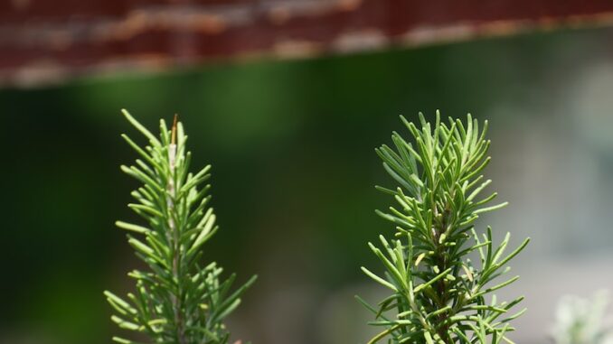 uploaded-image-yesilliklerin-peyzaj-mimarligi-ve-yesil-bina-projeleri-1697900529036