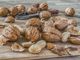 Yeşilli'de doğal kaynakların korunması için projeler