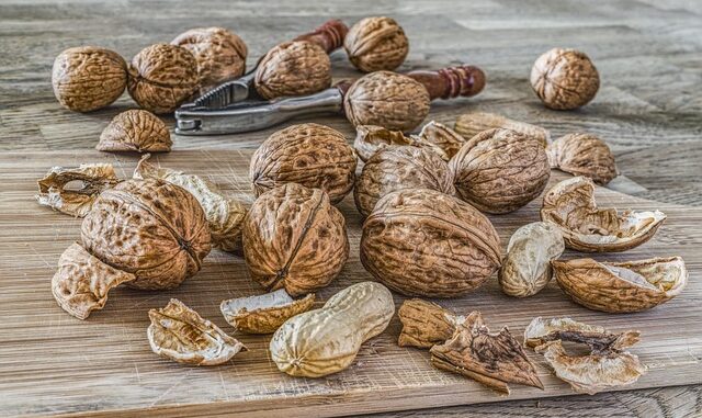 Yeşilli'de doğal kaynakların korunması için projeler Yeşilli'de doğal kaynakların korunması için projeler