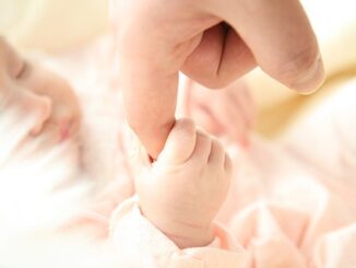 Yeşilli’de yeni iş fırsatları için girişimcilik destek programları