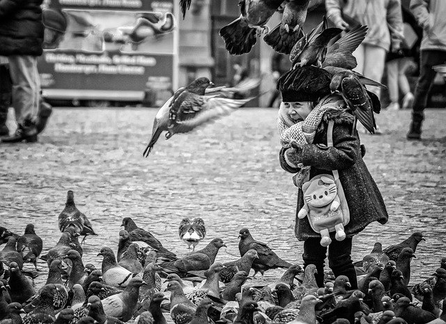 26. Yeşilli'de Kadın ve Çocuk Hakları 26. Yeşilli'de Kadın ve Çocuk Hakları
